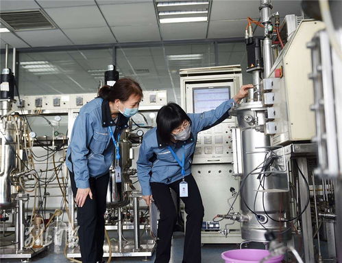 創新河北正當時 技術交流賦能高質量發展新篇章