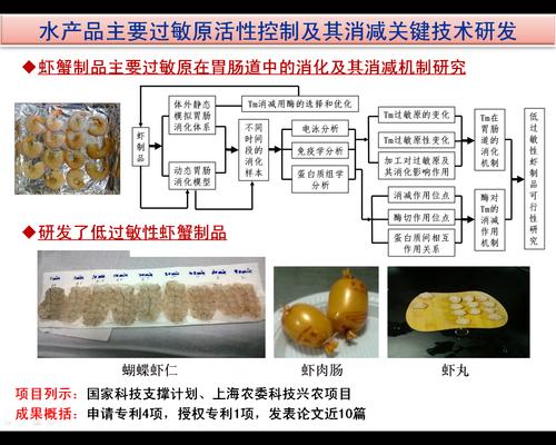 項(xiàng)目聘任制激活技術(shù)開發(fā)隊(duì)伍——淺析工程中心聘任制的實(shí)踐與思考